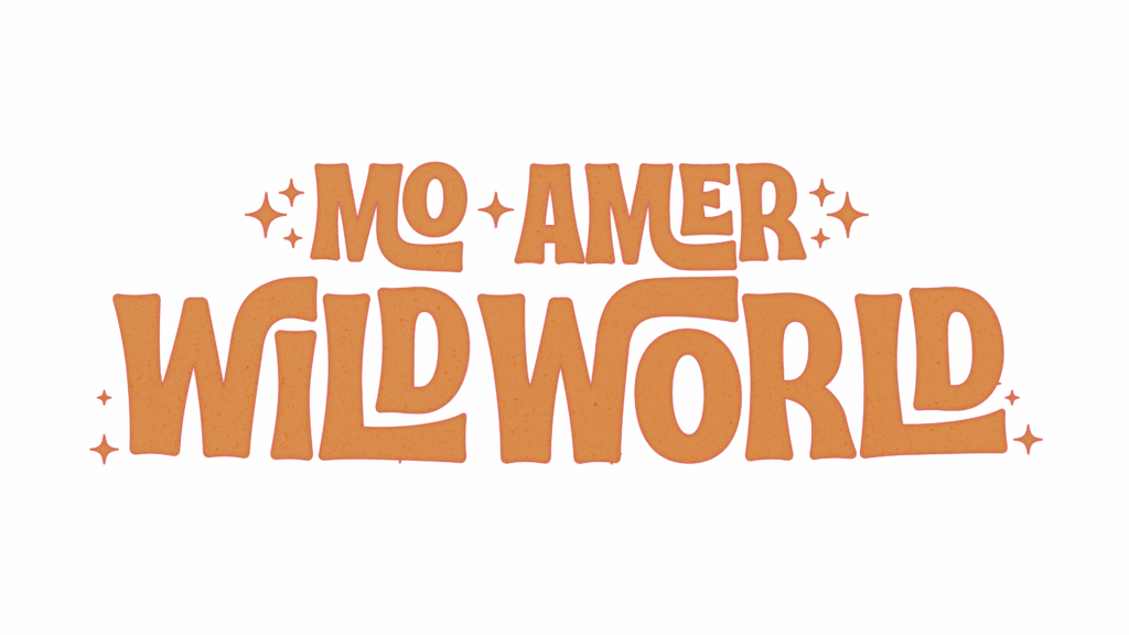 Mo Amer Wild World latest netflix original stand-up comedy special